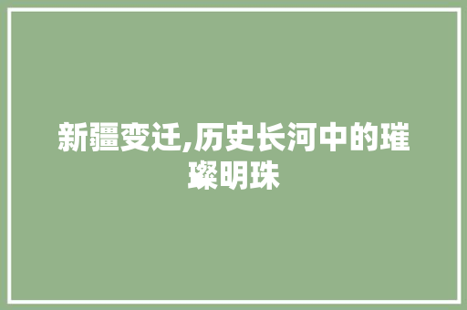 新疆变迁,历史长河中的璀璨明珠