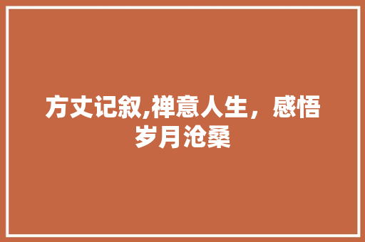 方丈记叙,禅意人生，感悟岁月沧桑