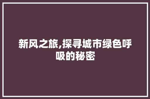 新风之旅,探寻城市绿色呼吸的秘密