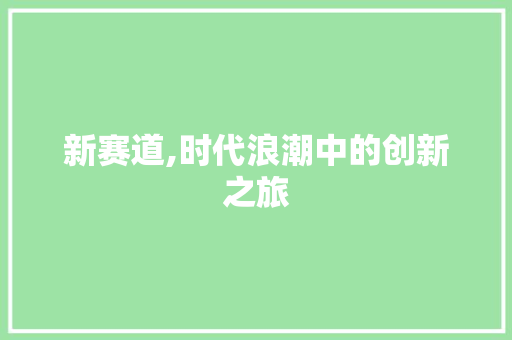 新赛道,时代浪潮中的创新之旅