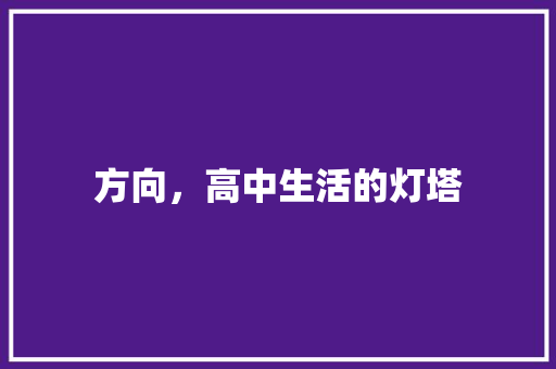 方向，高中生活的灯塔