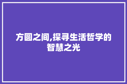 方圆之间,探寻生活哲学的智慧之光