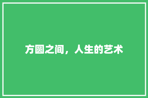 方圆之间，人生的艺术