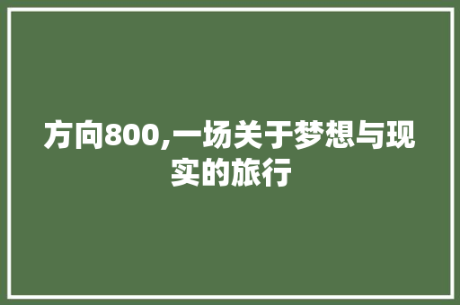 方向800,一场关于梦想与现实的旅行