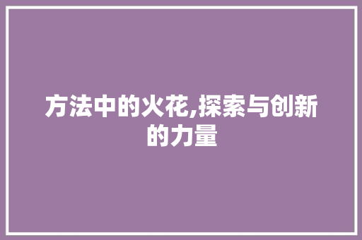 方法中的火花,探索与创新的力量 简历范文