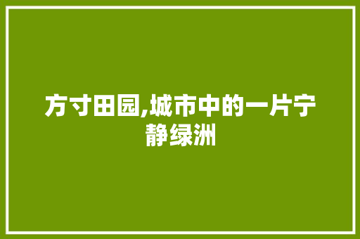 方寸田园,城市中的一片宁静绿洲