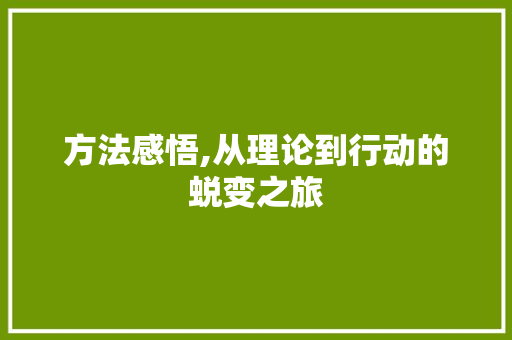 方法感悟,从理论到行动的蜕变之旅