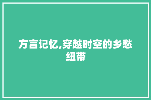 方言记忆,穿越时空的乡愁纽带