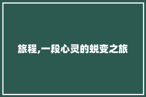 旅程,一段心灵的蜕变之旅