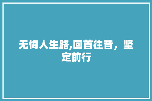 无悔人生路,回首往昔，坚定前行