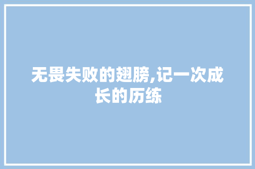 无畏失败的翅膀,记一次成长的历练