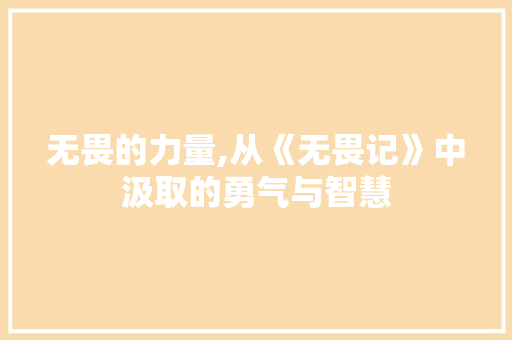 无畏的力量,从《无畏记》中汲取的勇气与智慧