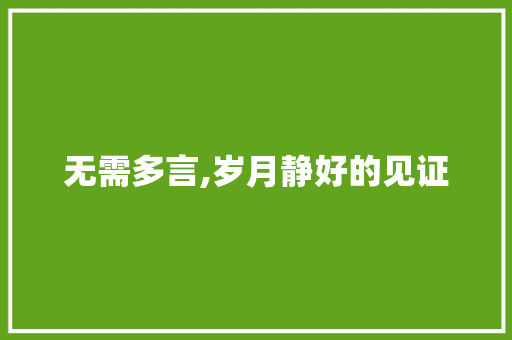 无需多言,岁月静好的见证