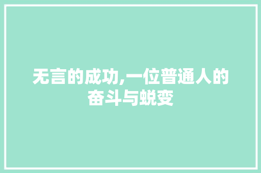 无言的成功,一位普通人的奋斗与蜕变