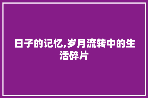 日子的记忆,岁月流转中的生活碎片