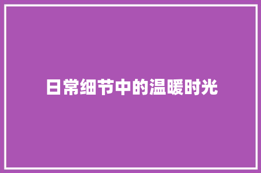 日常细节中的温暖时光