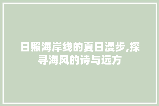 日照海岸线的夏日漫步,探寻海风的诗与远方