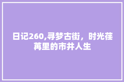 日记260,寻梦古街，时光荏苒里的市井人生