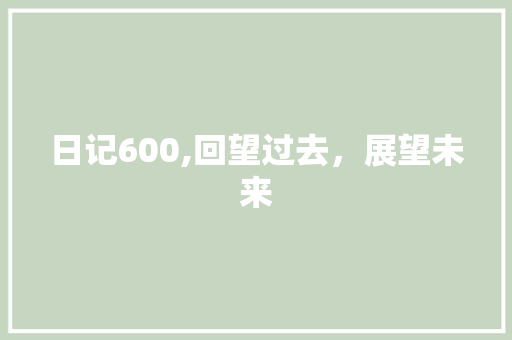 日记600,回望过去，展望未来