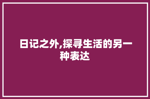 日记之外,探寻生活的另一种表达