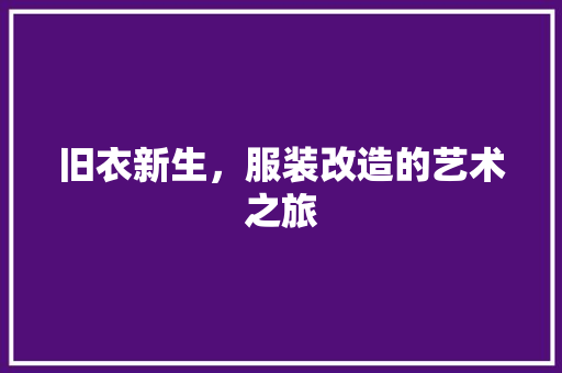 旧衣新生，服装改造的艺术之旅