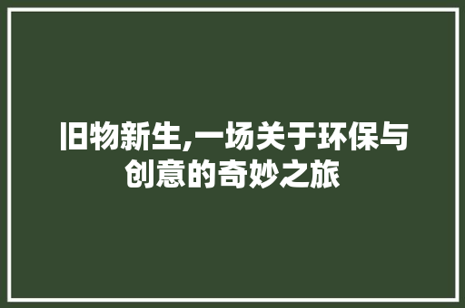 旧物新生,一场关于环保与创意的奇妙之旅