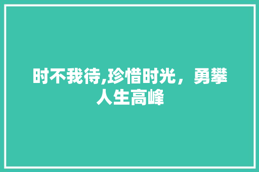 时不我待,珍惜时光，勇攀人生高峰