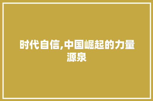 时代自信,中国崛起的力量源泉