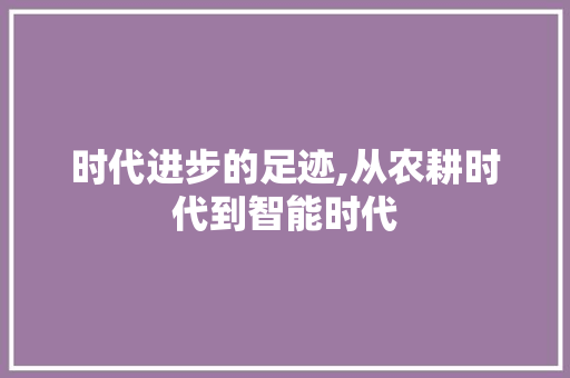 时代进步的足迹,从农耕时代到智能时代