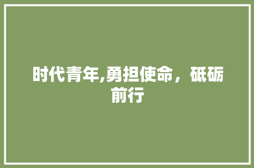 时代青年,勇担使命，砥砺前行