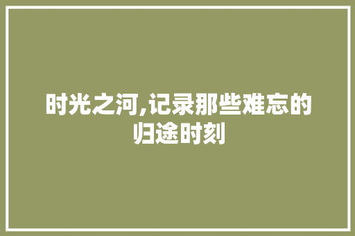 时光之河,记录那些难忘的归途时刻