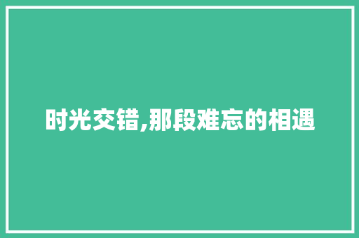 时光交错,那段难忘的相遇