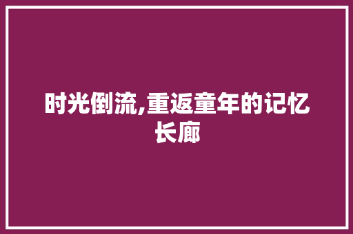 时光倒流,重返童年的记忆长廊