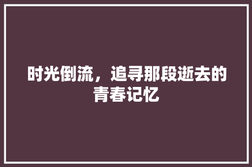 时光倒流，追寻那段逝去的青春记忆