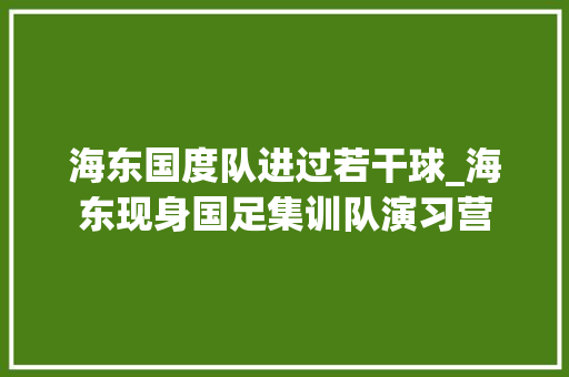 海东国度队进过若干球_海东现身国足集训队演习营