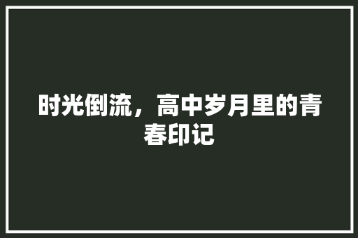 时光倒流，高中岁月里的青春印记