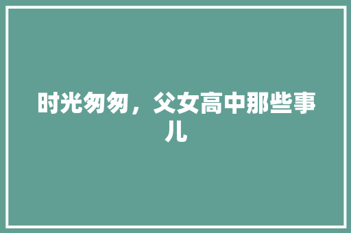 时光匆匆，父女高中那些事儿