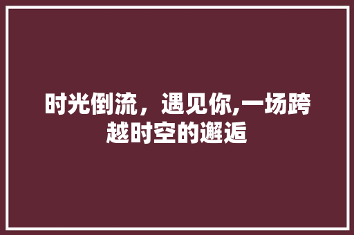 时光倒流，遇见你,一场跨越时空的邂逅