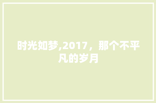 时光如梦,2017，那个不平凡的岁月