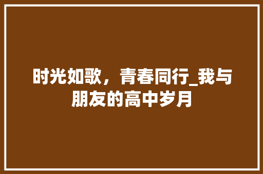 时光如歌，青春同行_我与朋友的高中岁月 论文范文