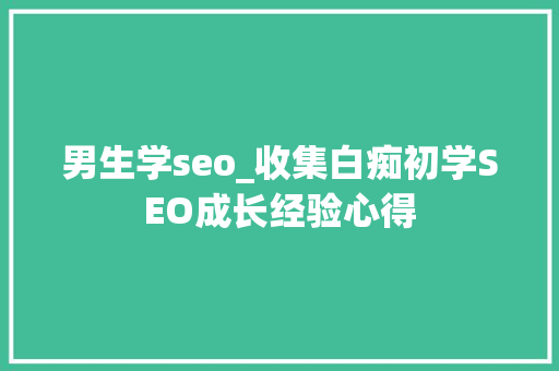 男生学seo_收集白痴初学SEO成长经验心得