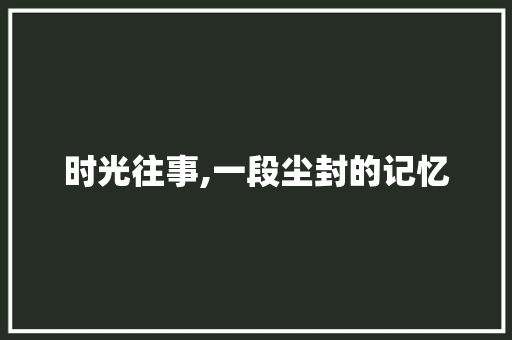 时光往事,一段尘封的记忆