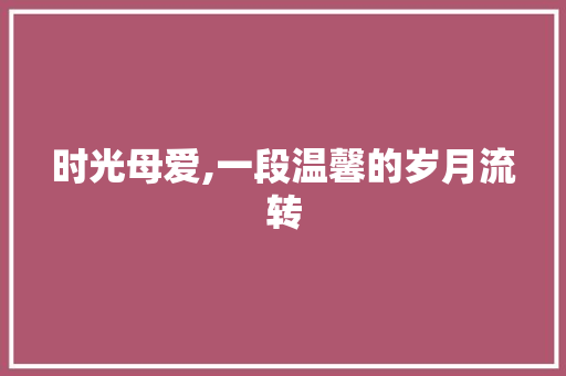 时光母爱,一段温馨的岁月流转