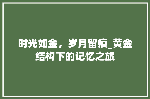 时光如金，岁月留痕_黄金结构下的记忆之旅