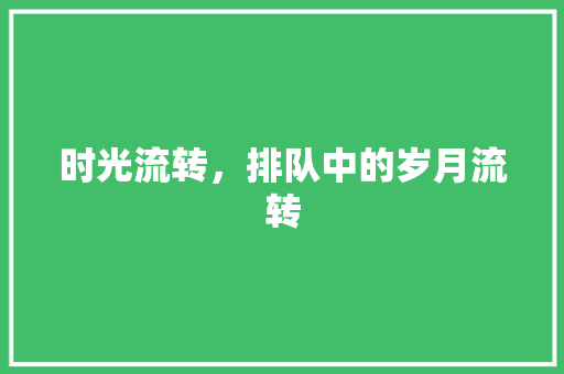 时光流转，排队中的岁月流转