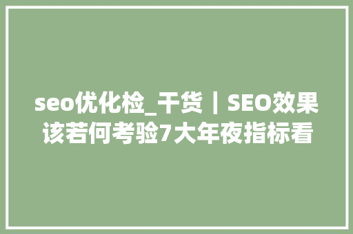 seo优化检_干货｜SEO效果该若何考验7大年夜指标看究竟 书信范文