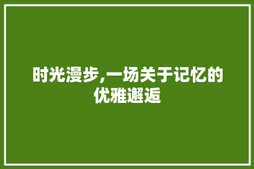 时光漫步,一场关于记忆的优雅邂逅