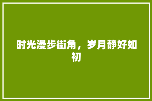 时光漫步街角，岁月静好如初