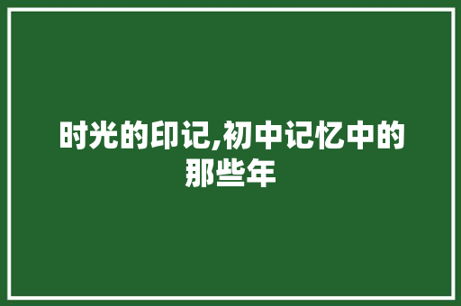 时光的印记,初中记忆中的那些年