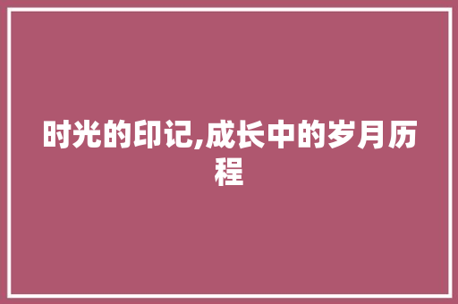 时光的印记,成长中的岁月历程